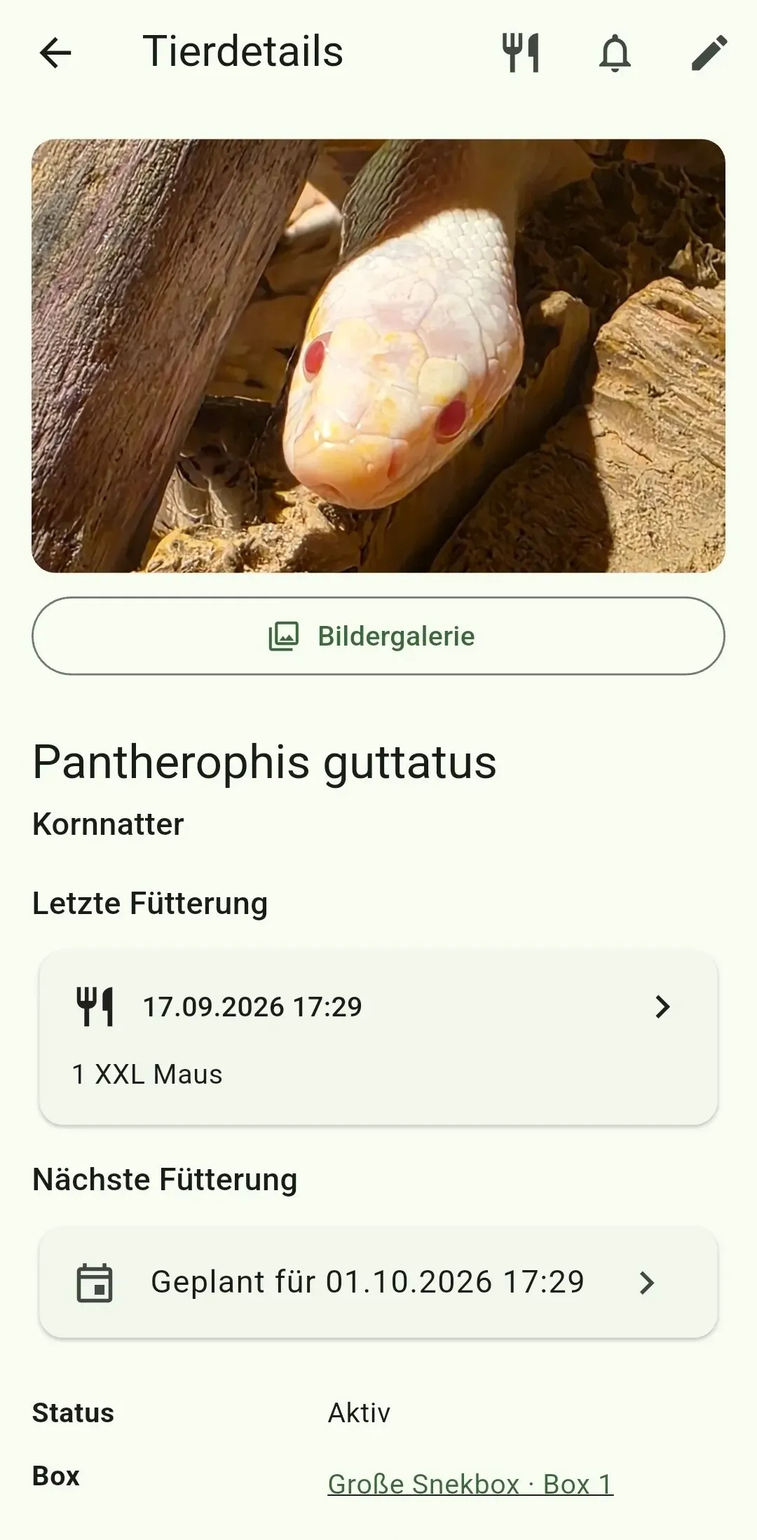 Detailansicht eines Tieres