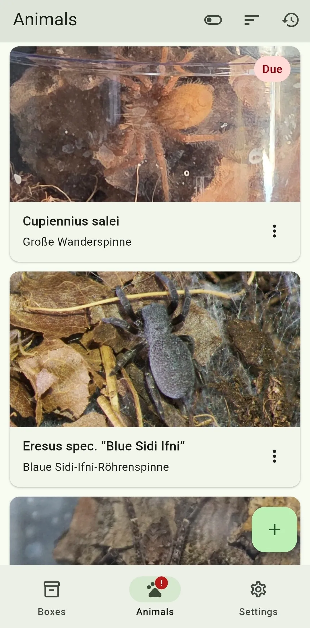 Animal overview using large pictures