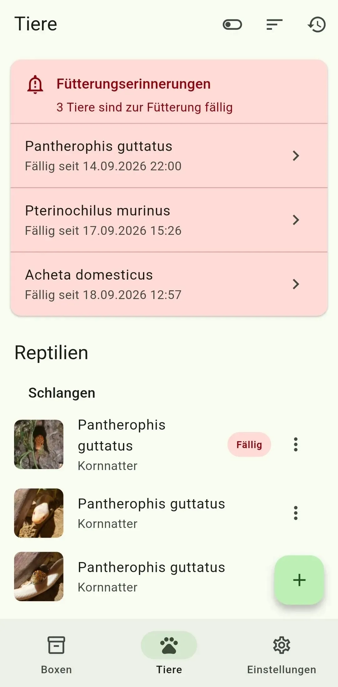 Tierübersicht mit mehreren fälligen Fütterungen