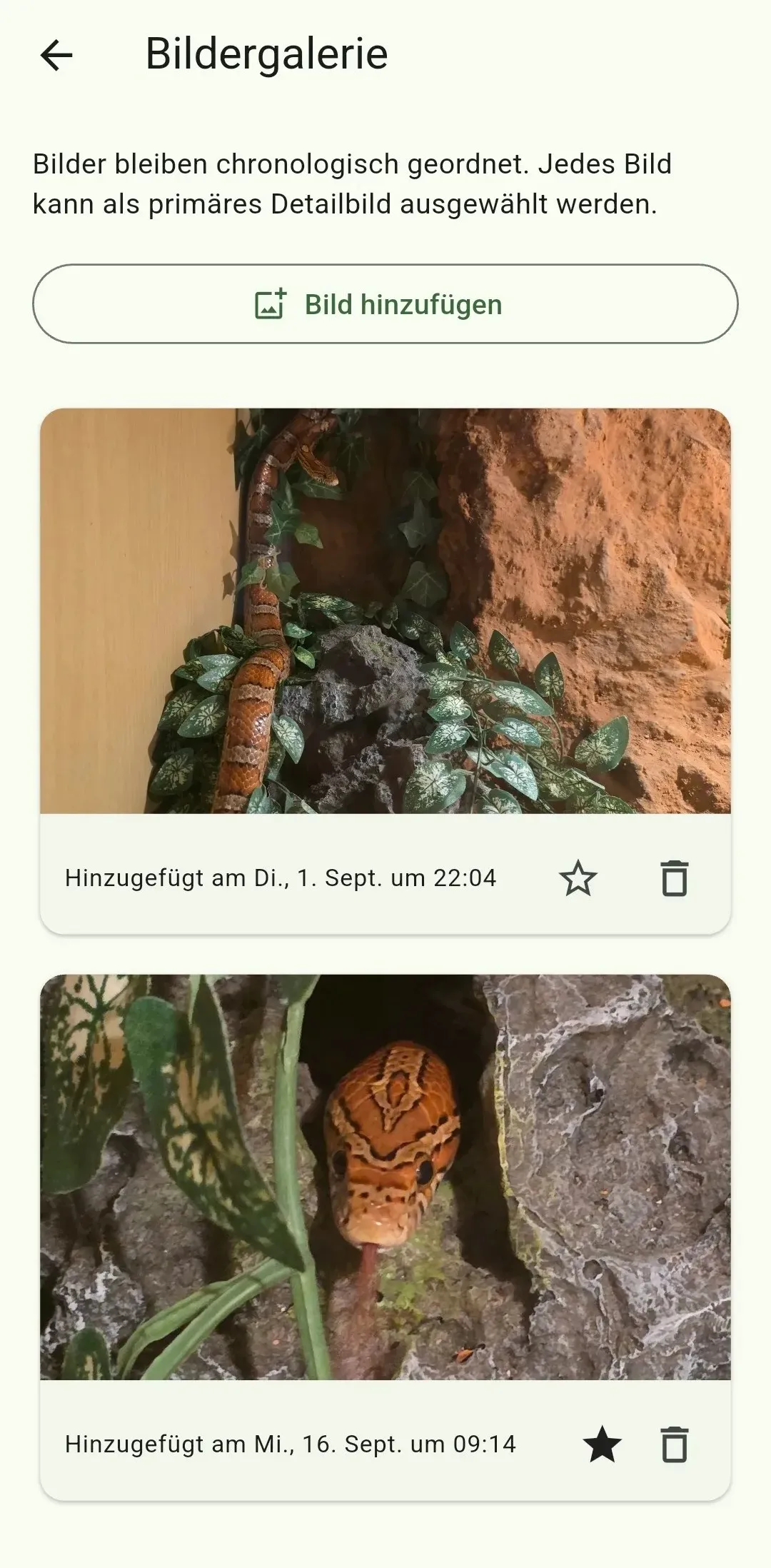 Bildergalerie eines Tieres
