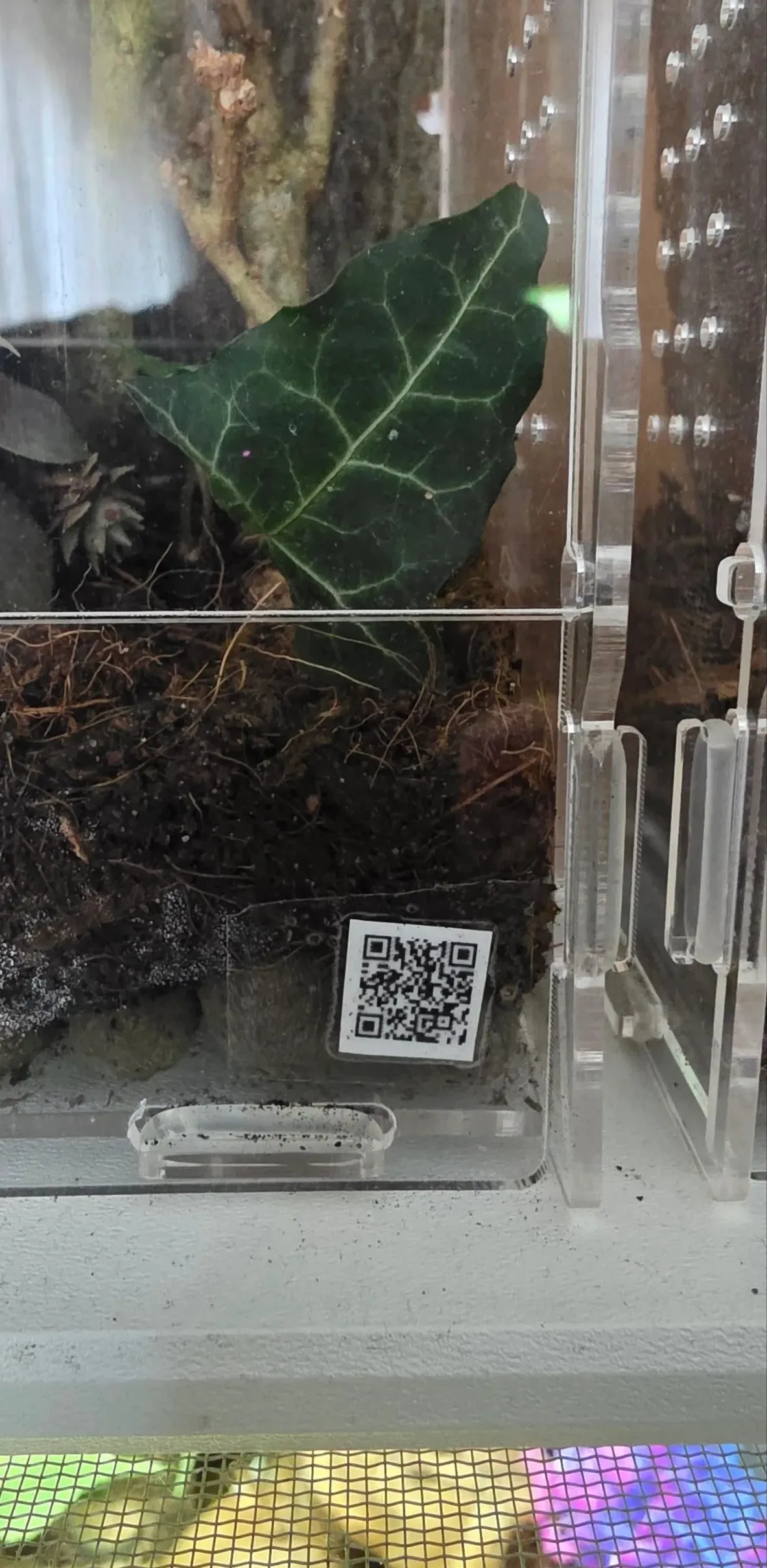 QR-Code an einem Terrarium